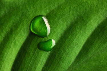 Similar image 970119