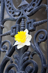 Similar image 970149