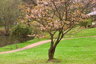 Similar image 970150