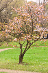 Similar image 970151