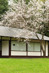 Similar image 970153