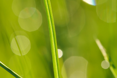 Similar image 970162