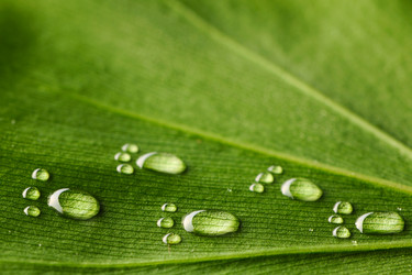 Similar image 970177