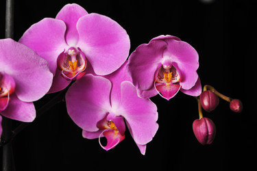 Similar image 970200