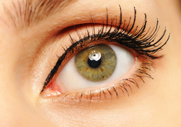 Similar image 970234