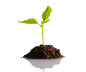 Similar image 970281