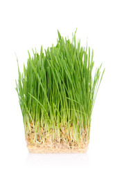 Similar image 970292