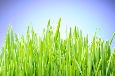 Similar image 970315