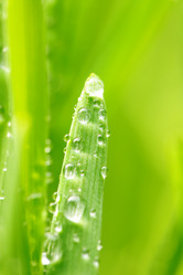 Similar image 970334