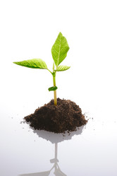 Similar image 970353