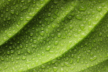 Similar image 970372