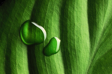 Similar image 970381