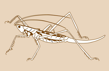 Similar image 970387