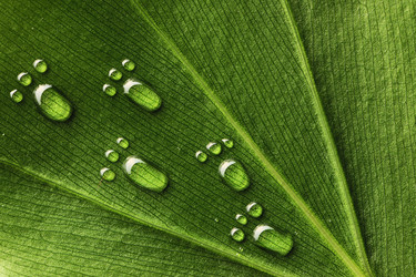 Similar image 970391