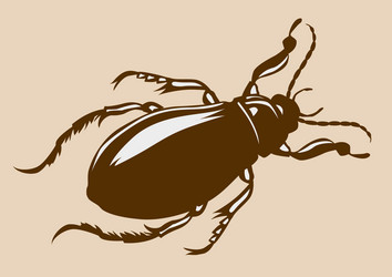 Similar image 970397