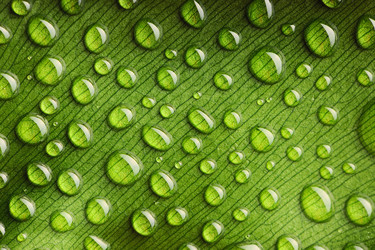 Similar image 970453