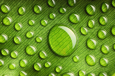 Similar image 970458