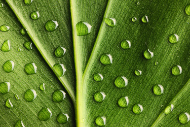 Similar image 970487