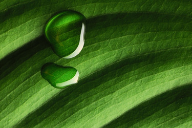 Similar image 970490