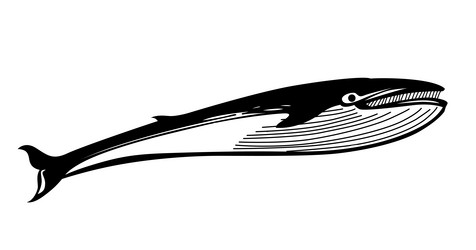 Similar image 970516