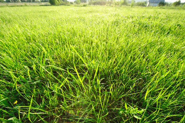 Similar image 970521