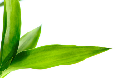 Similar image 970555