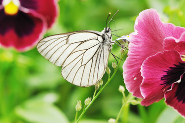 Similar image 970564