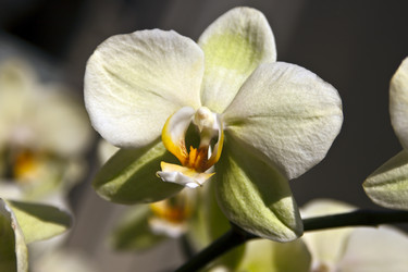 Similar image 970577