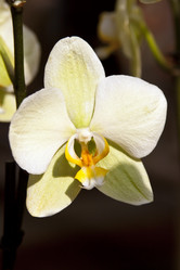 Similar image 970580