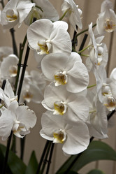 Similar image 970586