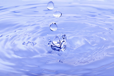 Similar image 970626