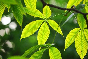 Similar image 970630