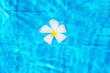 Similar image 970683