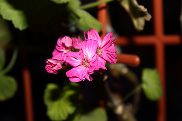 Similar image 970687