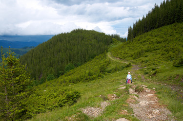 Similar image 970742