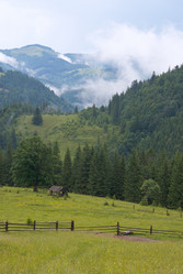 Similar image 970818