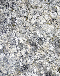 Similar image 970823