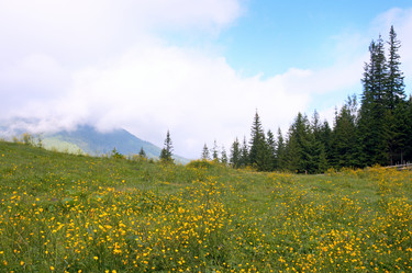 Similar image 970827