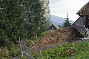 Similar image 970850