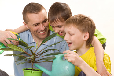 Similar image 970862