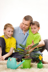 Similar image 970863