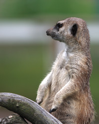 Similar image 970874