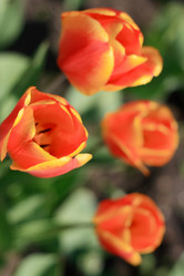 Similar image 970875