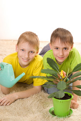 Similar image 970892