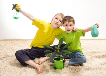 Similar image 970891