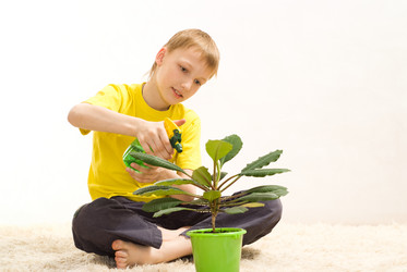 Similar image 970897