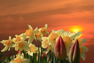 Similar image 970914