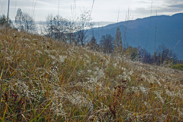 Similar image 970925