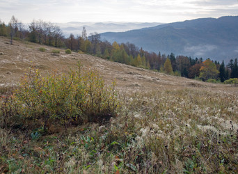 Similar image 970931