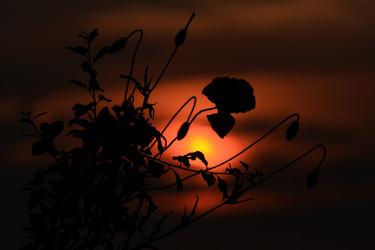 Similar image 970934